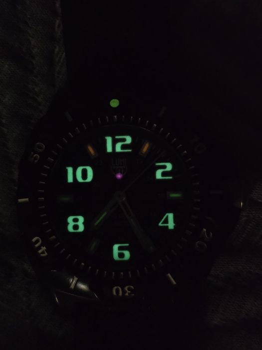 Мужские часы Luminox Series 0200