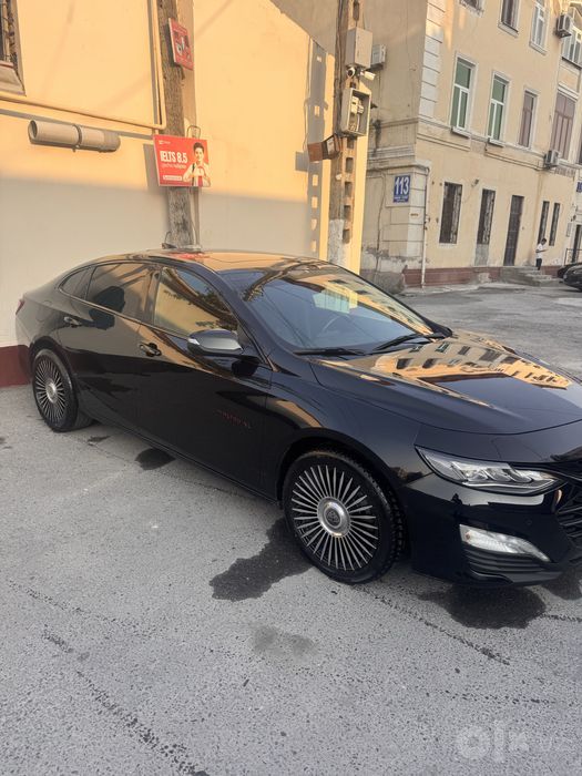 Malibu 2 xl 2023 kraska bor