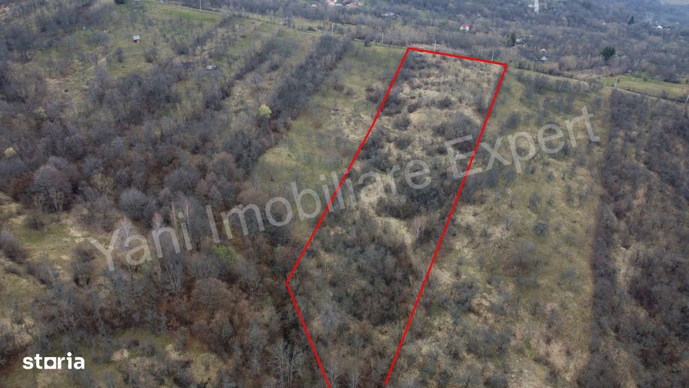 Teren de vânzare în comuna Nucșoara, județ Argeș.