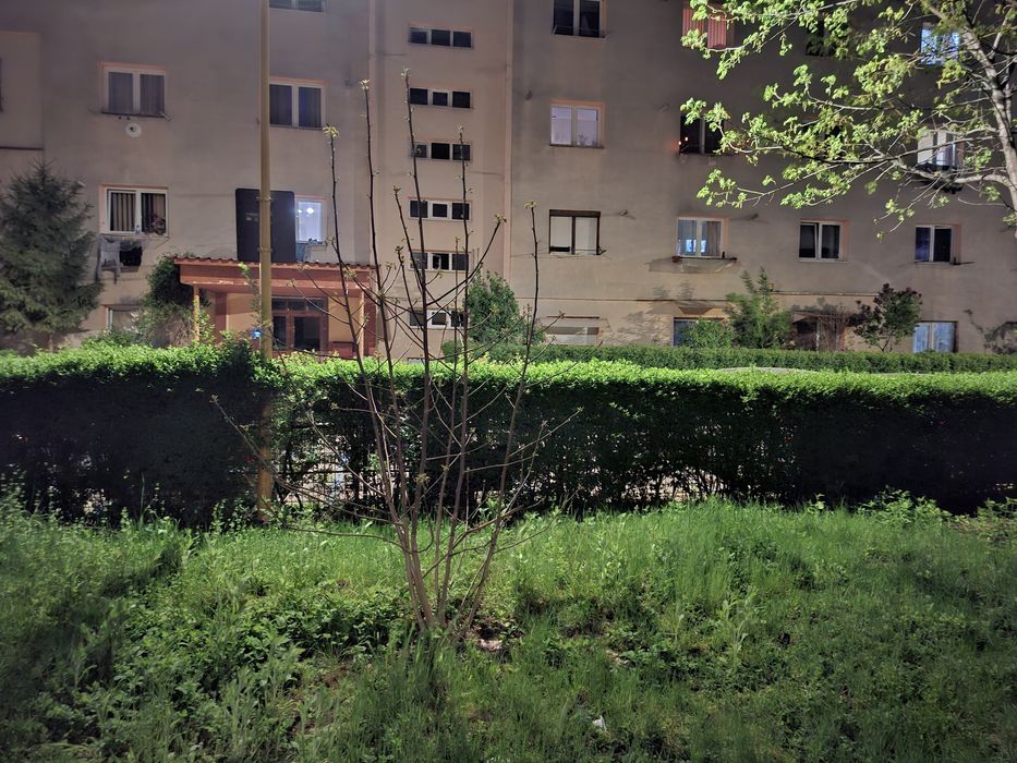 Garsonieră (cameră de cămin) pentru chirie pe termen lung, Cartier Noua, Brașov - Curătenie, liniște, grădină