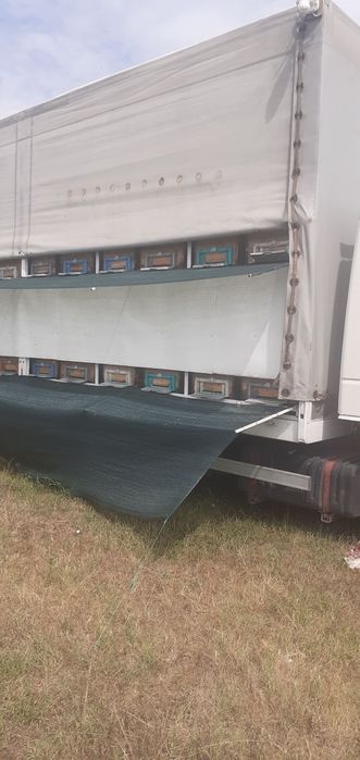 Camion IVECO omologat apicol