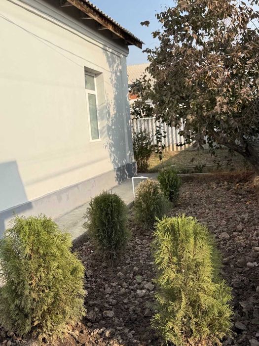 Продается дом . земельный участок , 15,3 сотки в Янги Узбекистан