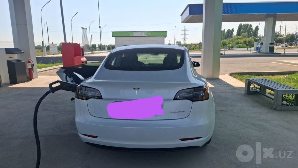 Тесла  дуал матор