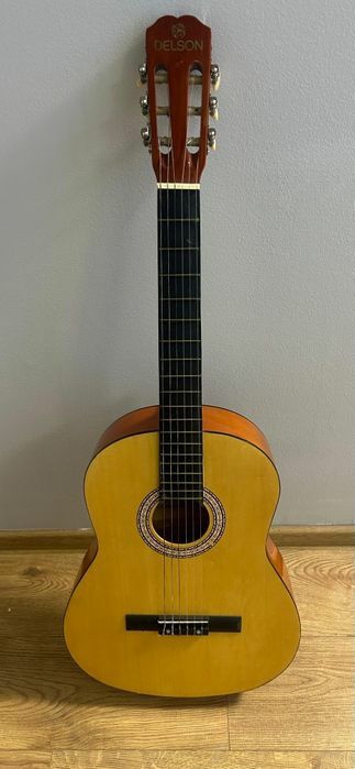 Vand chitara marca delson