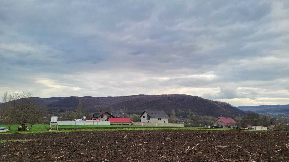 5400 mp intravilan construibil, 30m deschidere, Curent la teren, CU eliberat, Bucovina Mica Iasi