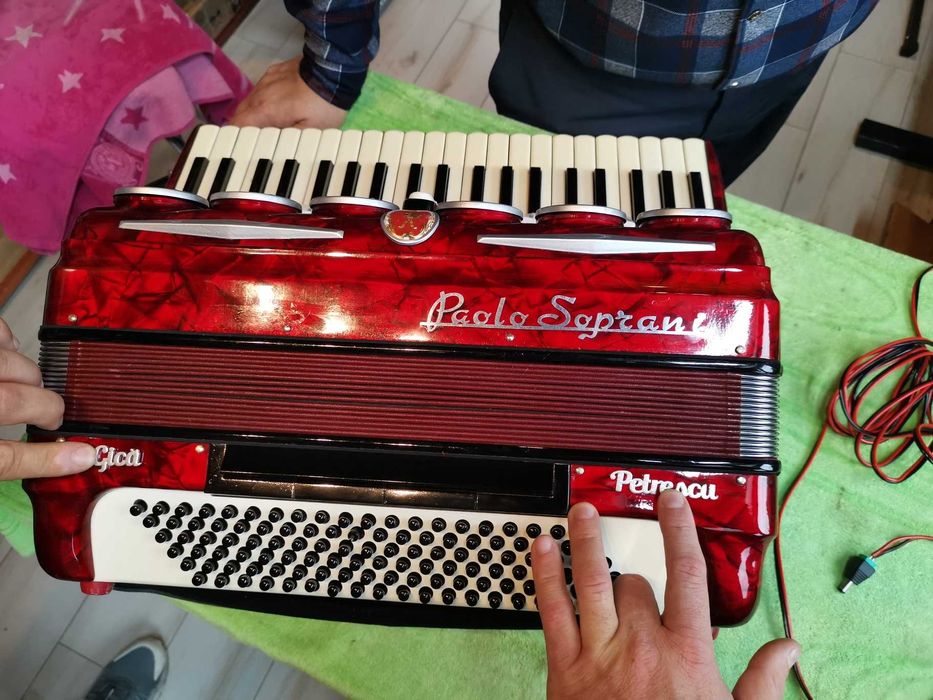 Personalizari Acordeoane Acustice