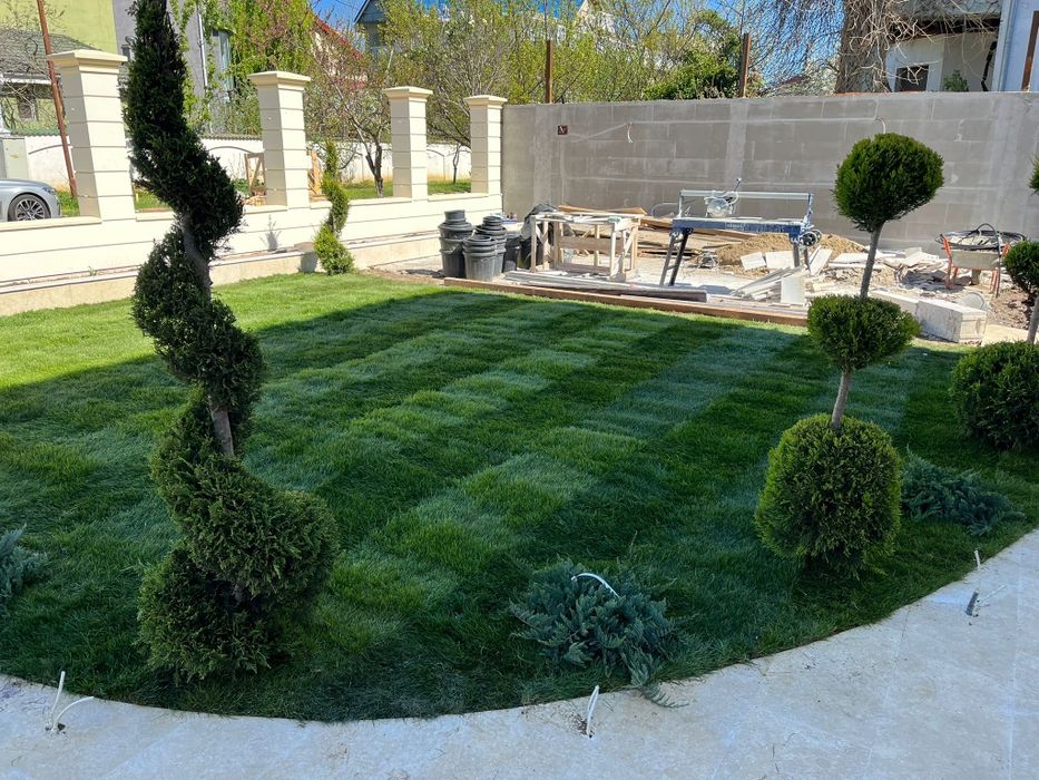 Gazon rulou premium sistem irigații plante ornamentale