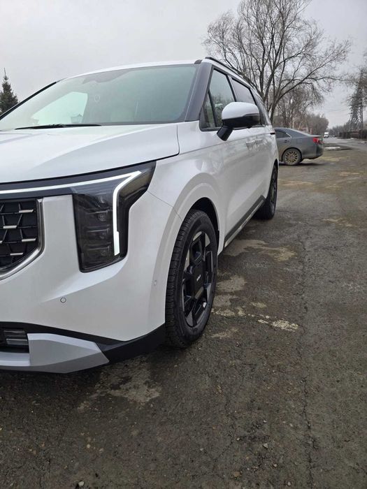 трансфер, прокат авто