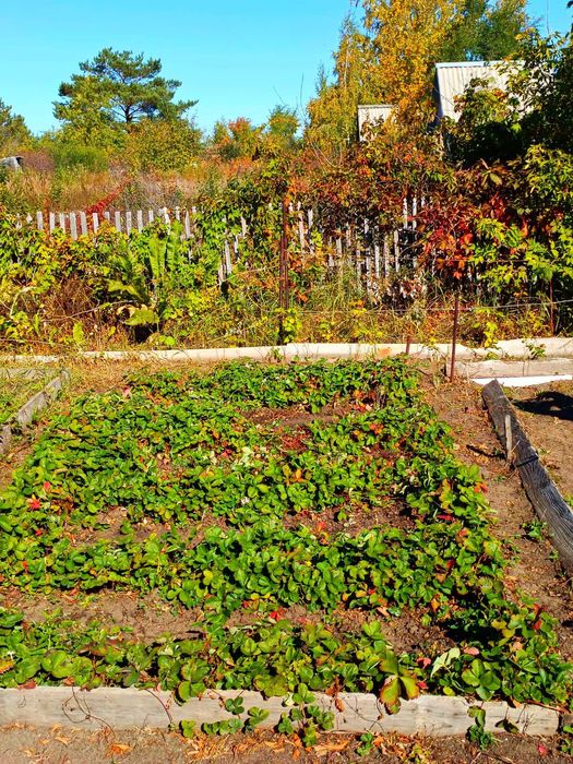 Дача в Мелиораторе