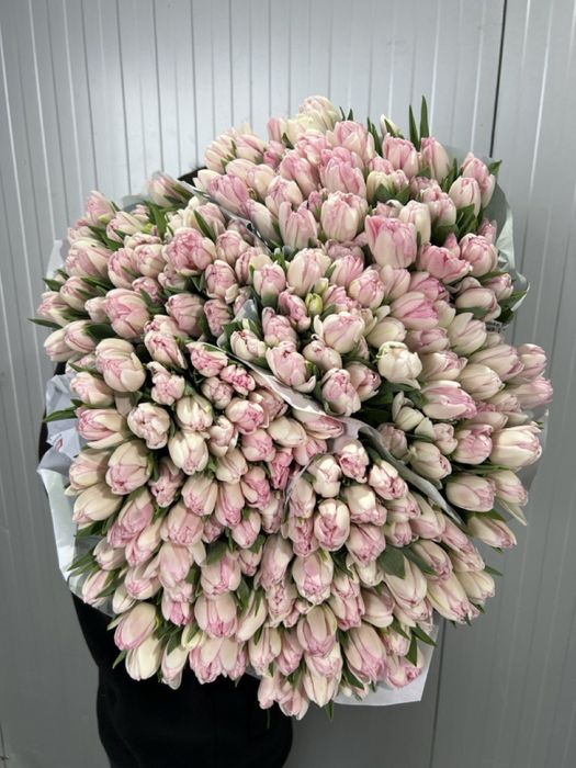 Тюльпаны оптом,розы,пионы,