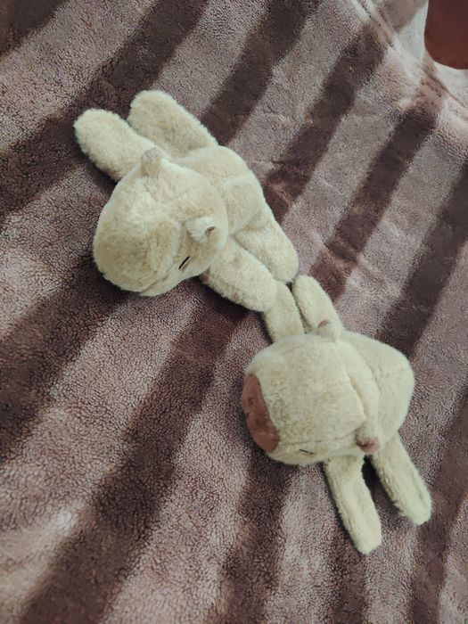 Срочно продаю мягкий игрушки КАПИБАРО