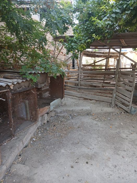 Уй жой сотилади.Пешку туман Янги обзор  район  центр