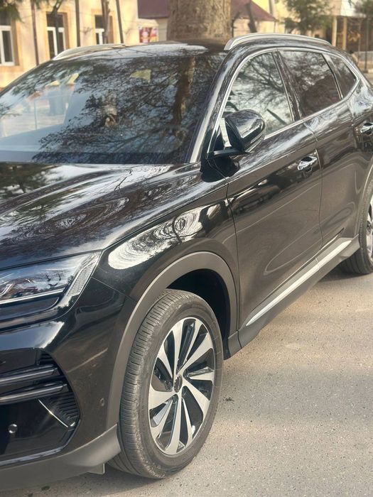 Byd champion qora 2024