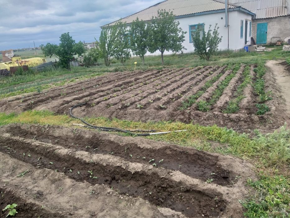 Продам базу р Курайлы