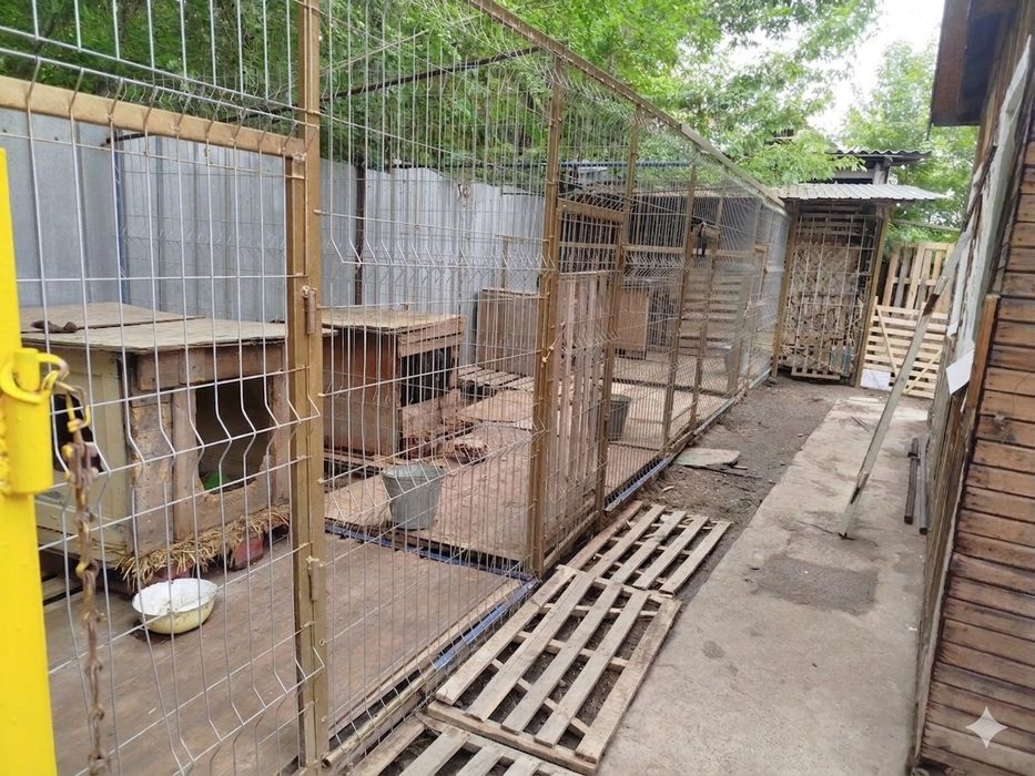 Продам дом в Покровке, Кенен Азербаев