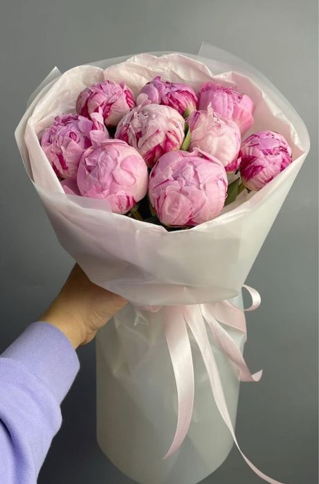 Голландские пионы со склада