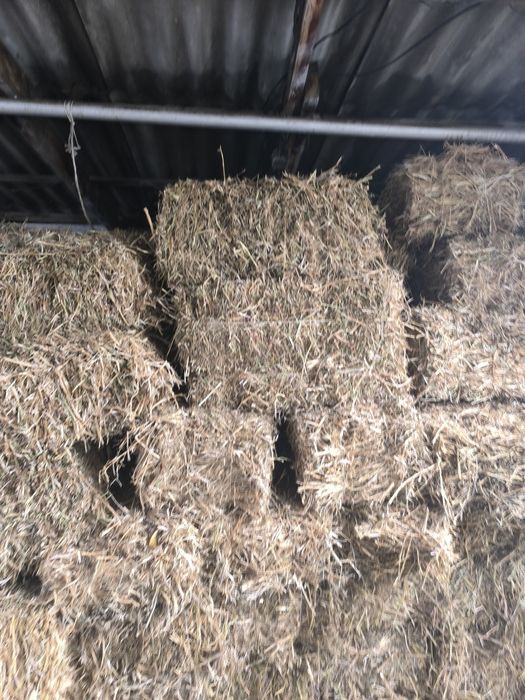 Соянын Сабаны Сатылады