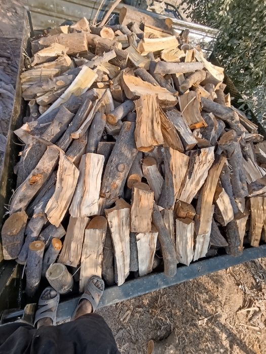 O'tin дрова сухой