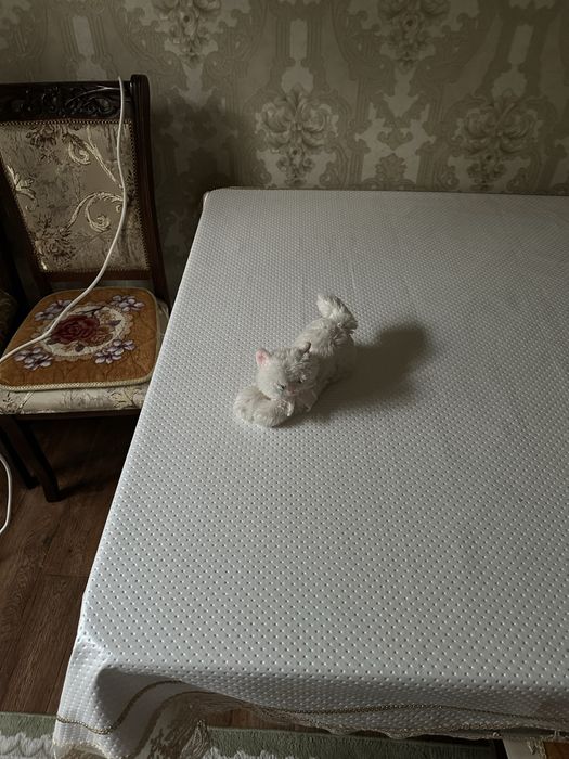 Кошка игрушечная