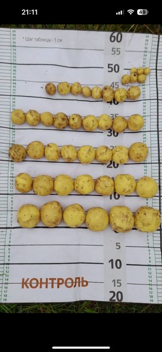 Нанокремний лучшее удобрение