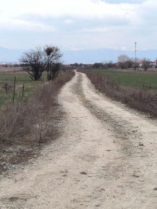 Teren Bucureasa-Danesti 10.000mp