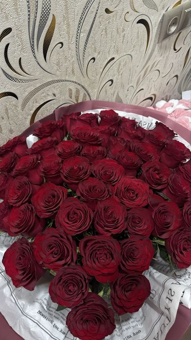 Красные розы 51 шт.