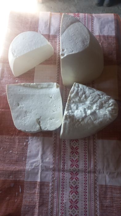 Brânză de capră și oaie la angro