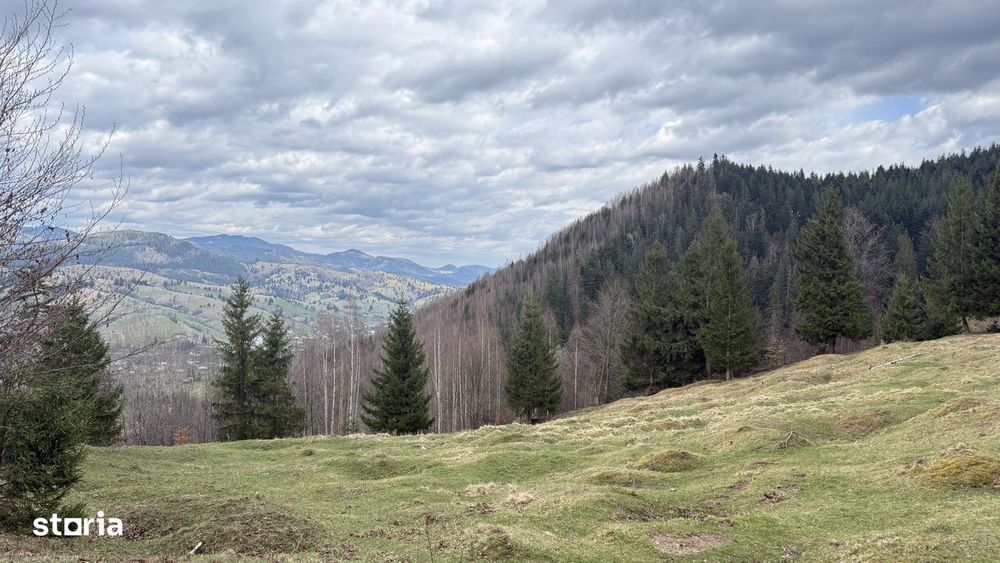 Teren izolat fără vecini, inconjurat de pădure, 1.02 ha