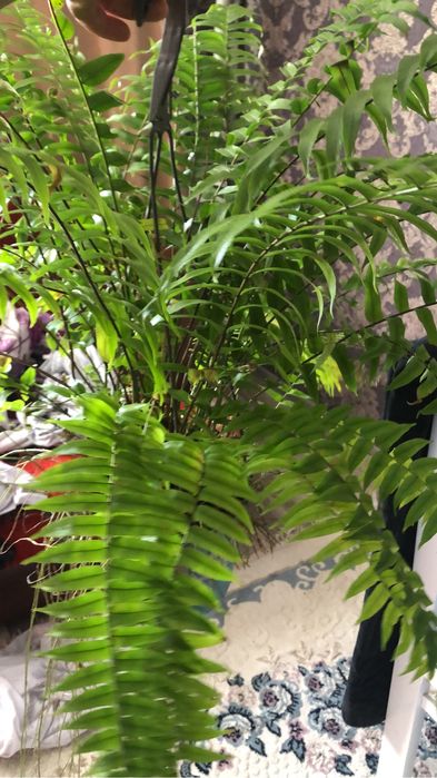 Продам или обмен