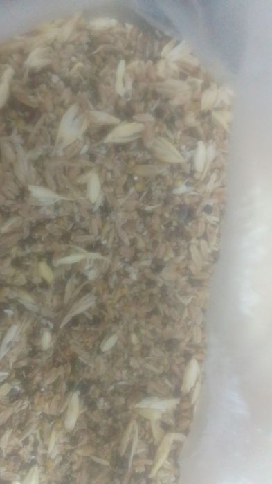 Зерно-Отходы Отруби Колоски