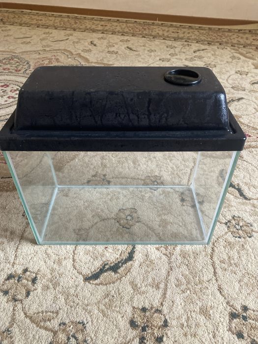 Аквариум в хорошем состояние