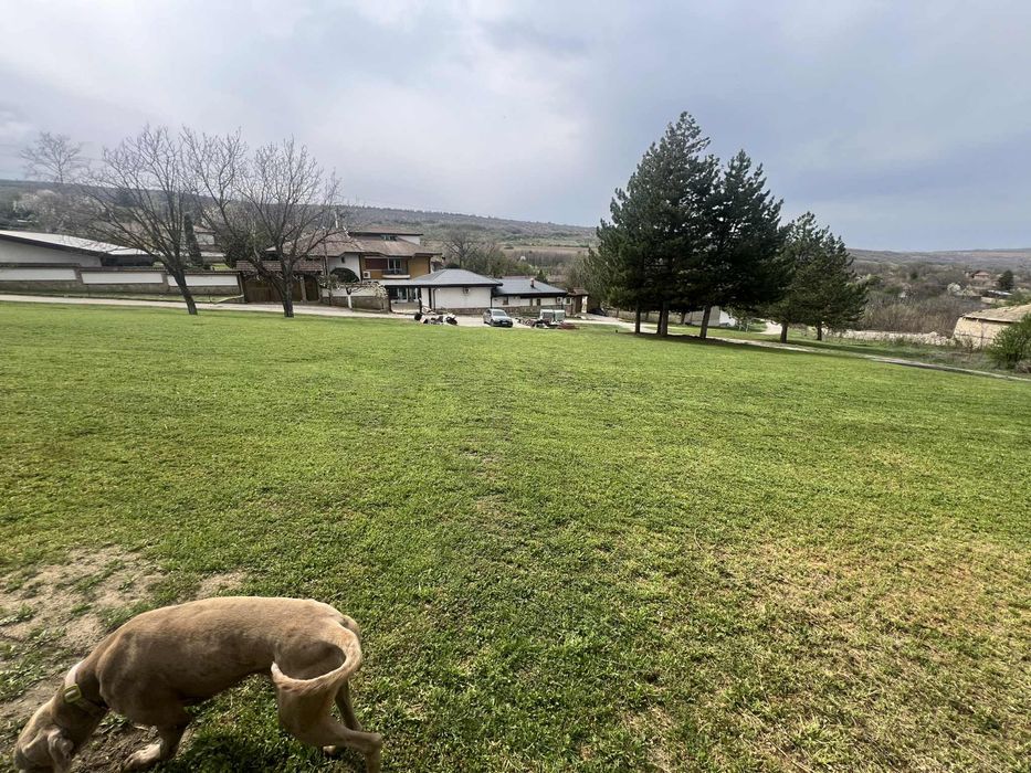 Продава се Къща в с. Хотница, Област Велико Търново - 1 кв.м за 35000 €/кв.м - Снимка #4