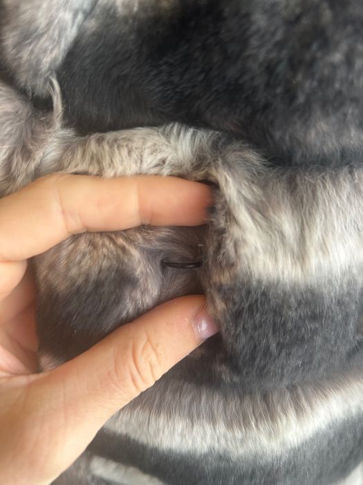 Haina de blana chinchilla Rex - 1050 lei