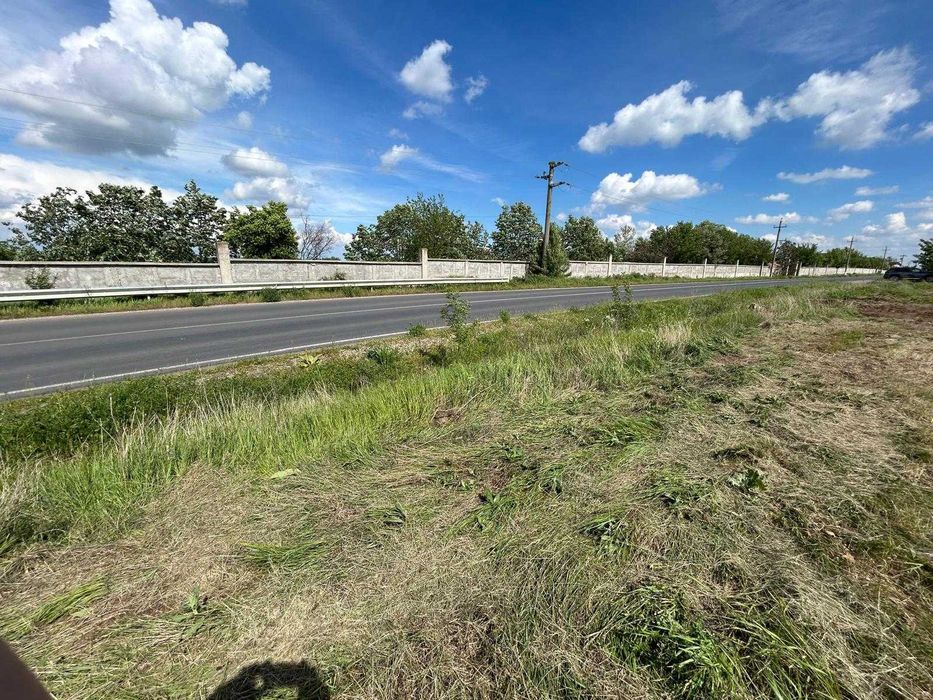 MOARA VLASIEI - CALDARUSANI, 794 mp, padure, lac, desc DJ 101