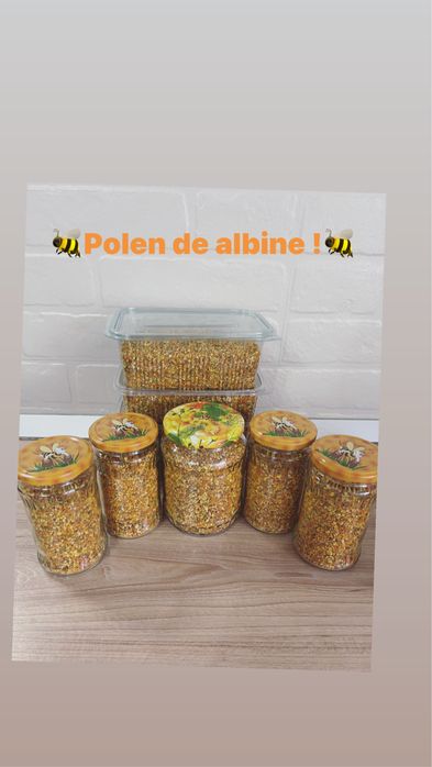 Miere si Polen de albine