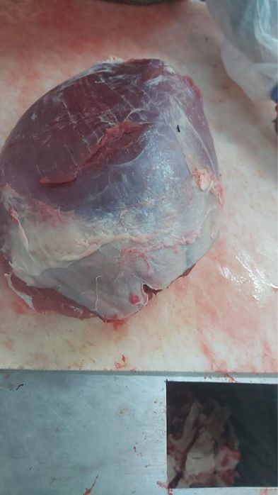 ПРОДАЕМ ТОЛЬКО ОПТОМ! Мясо говядины разных сортов