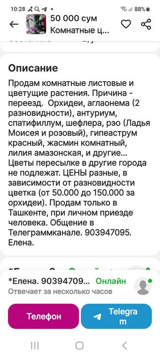 Продам комнатные цветы.