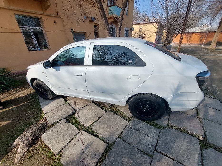 Cobalt midnight 2025