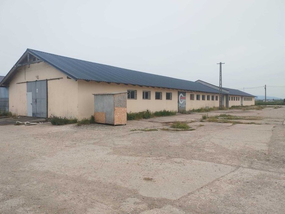 Inchiriere Hala depozitare