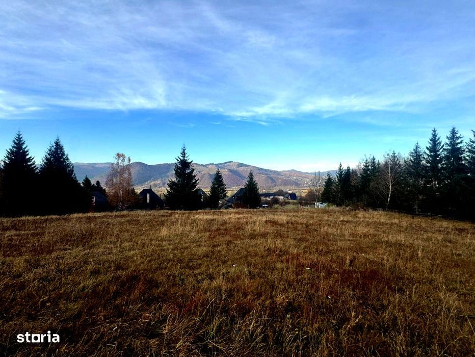 Vanzare 5,3 ha pasune deasupra Voronetului Suceava - Proiect Turistic