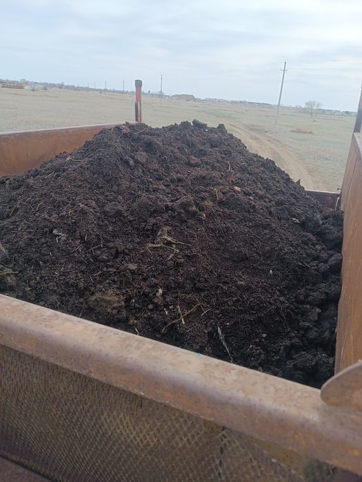 ПЕРЕГНОЙ хороший