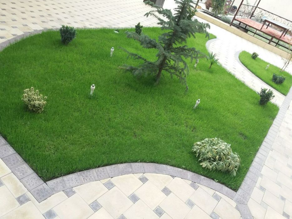 Тайрё Газон ёткизиш