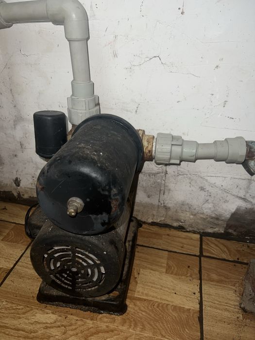 Носос водянной  мощный