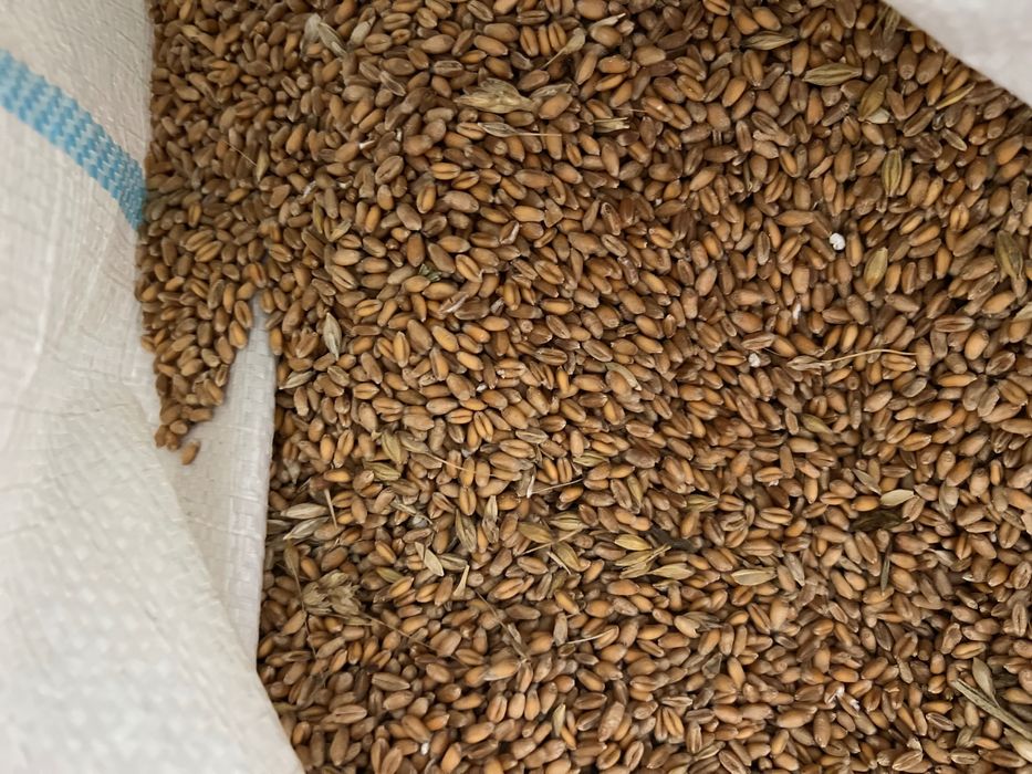 Furaj pentru animale de ferma!