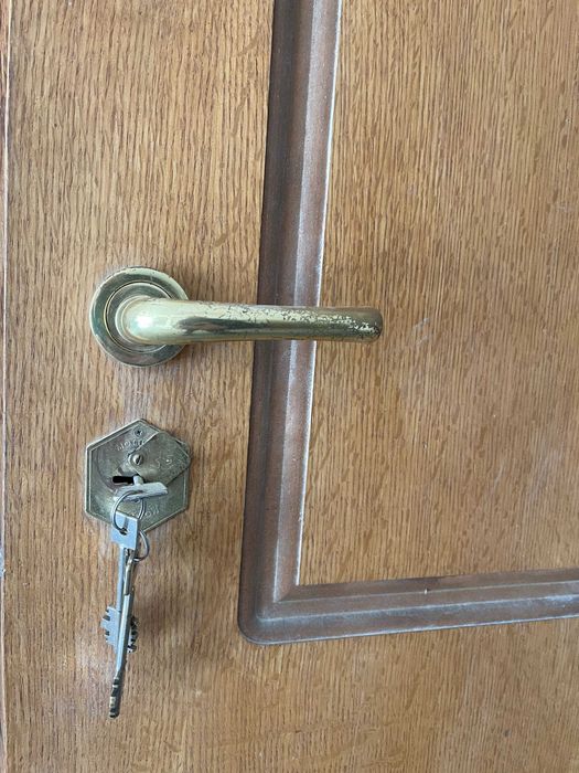 Масивна входна врата „старо желязо“ – двойно подсилена, с метална каса