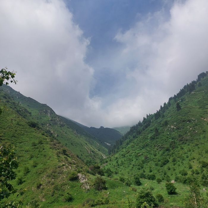 Горный гид,походы в горы