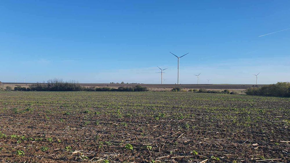 Нива 1 дка с. Горун на 200м от международен път Варна - Дуранкулак.