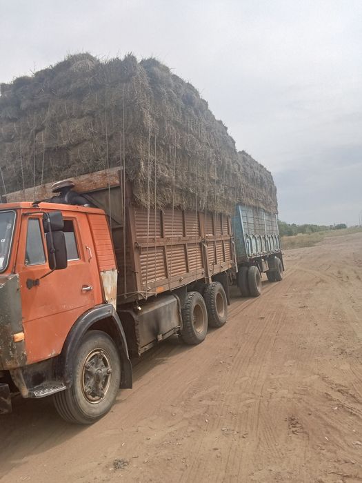 Продам сено разнотравье житняк
