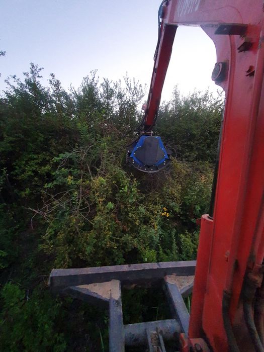 Defrisat tocat curățat terenuri