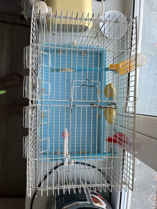 Продам клетку для попугая